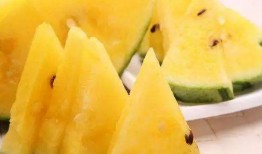 黑瓜吃料网,揭秘美食背后的故事与营养秘密